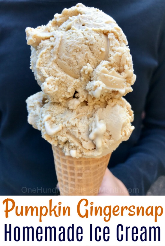 Homemade Ice Cream – Pumpkin Gingersnap Ice Cream Recipe