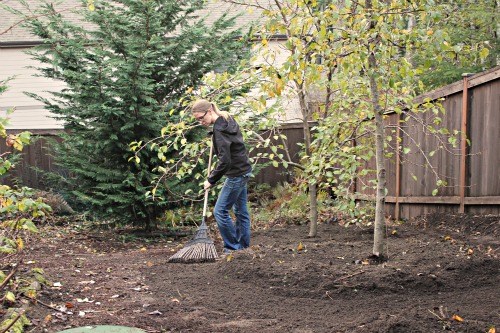 Mavis’ Backyard Garden 2013 – Stage 1