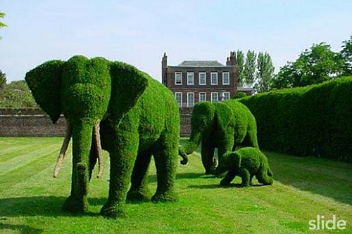 Cool Garden Topiary – Elephants, Flowers, Pigs, Peacock, Lion, Race Cars + More