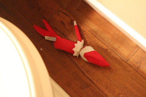 Elf on the Shelf – Ernesto is a Total Party Animal
