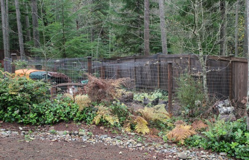 Gardening with Mavis, In December