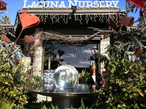 Laguna Beach California – Laguna Nursery