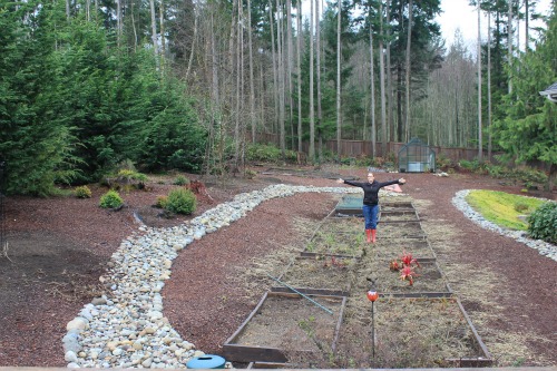 Mavis Butterfield | Backyard Garden Plot Pictures – Week 1 of 52