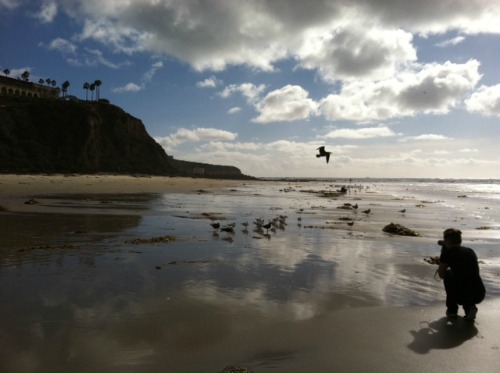 California Dreamin’