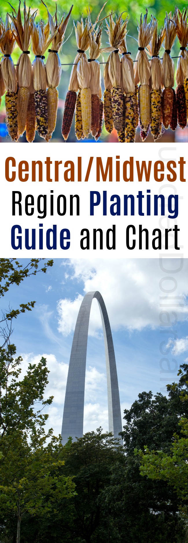 Central/Midwest Region Planting Guide