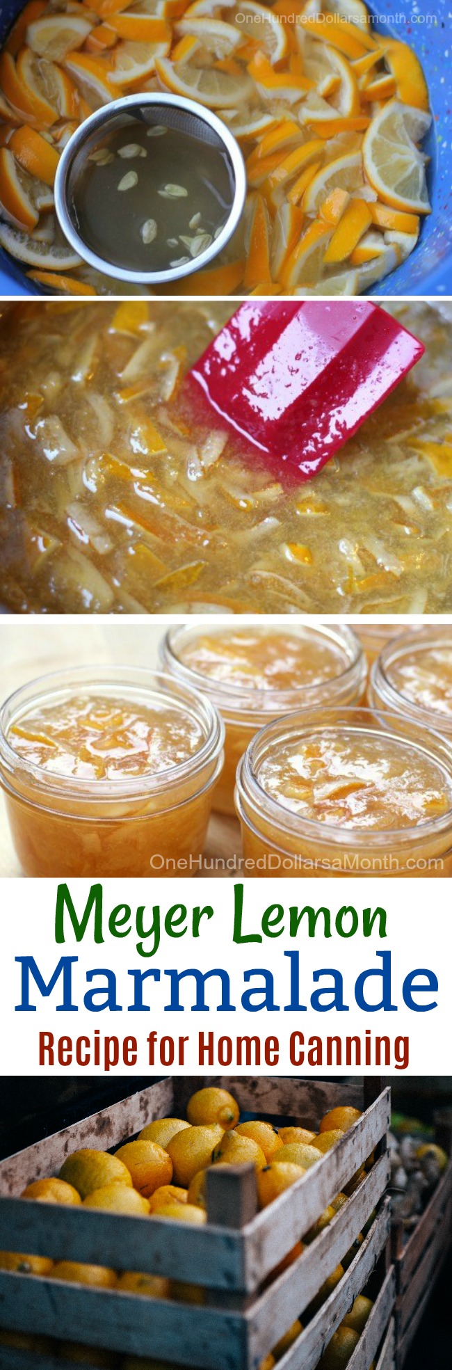 Canning 101 | Meyer Lemon Marmalade