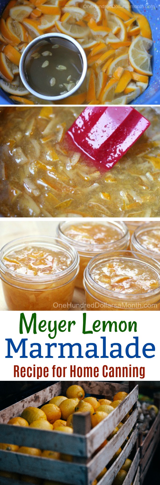Meyer Lemon Marmalade