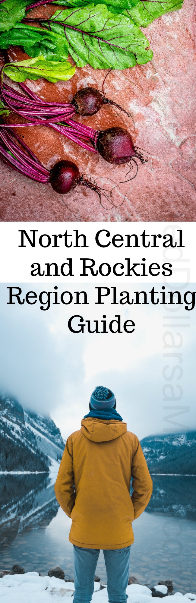 North Central and Rockies Region Planting Guide