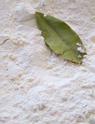 Easy Kitchen Tip – Keeping Weevils Out of Flour, Rice and Pasta