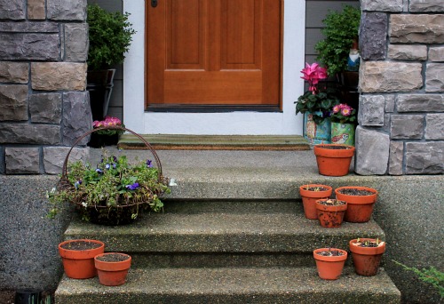 Mavis Garden Blog – Front Porch Flowers