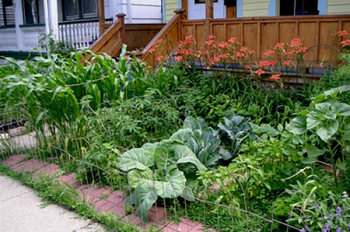 A Front Yard Garden:  Eye-Sore or Rightful Use of Space?