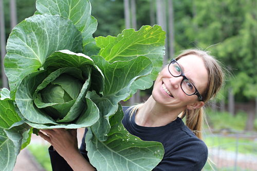 How to Grow Your Own Food – 2013 Garden Tally – 01