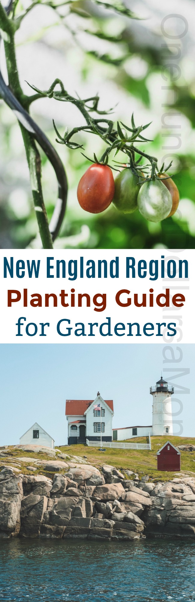 Maritime Canada and New England Region Grow Guide One Hundred Dollars