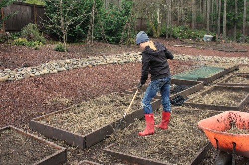 Mavis Garden Blog – Garden Clean Up