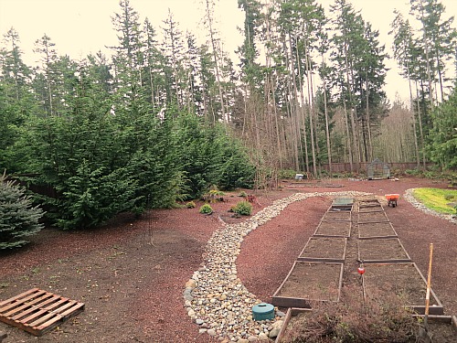 Mavis Butterfield | Backyard Garden Plot Pictures – Week 2 of 52