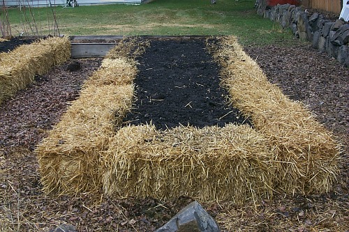 Andrew’s Straw Bale Garden