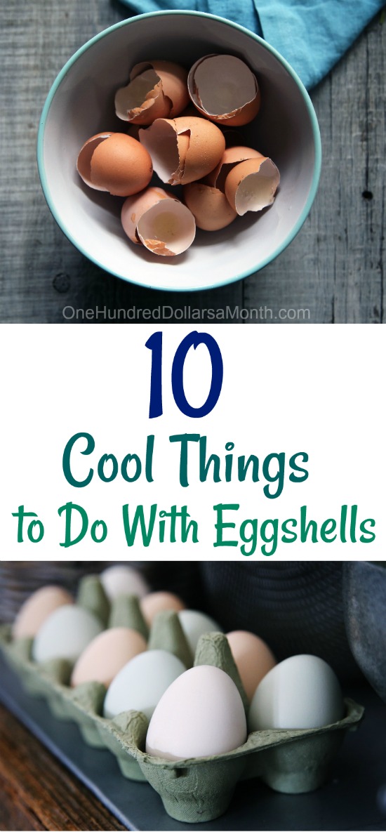 10 Cool Things to Do With Eggshells
