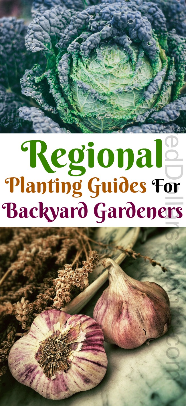 Regional Planting Guides For Backyard Gardeners