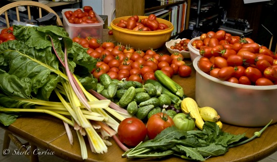 Mavis Mail – Bob and Sherle From California Share Their Vegetable Garden Photos