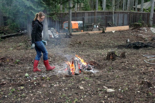 Mavis Garden Blog – The Fire Ban Has Been Lifted!