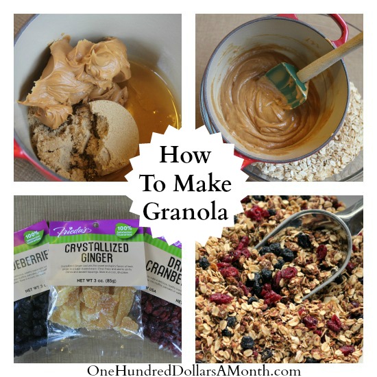 Homemade Granola with Blueberries, Cranberries and Ginger