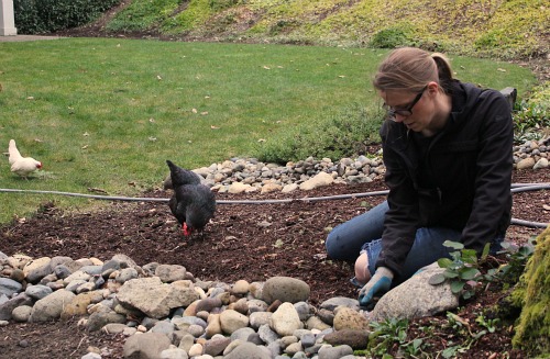 How to Grow Your Own Food – 2013 Garden Tally – 05