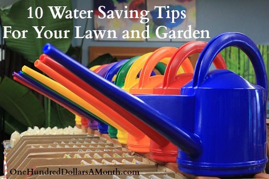 10 Water Saving Tips For Your Lawn and Garden