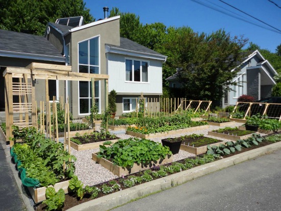 Is Having a Garden in the Front Yard Illegal? - One ...