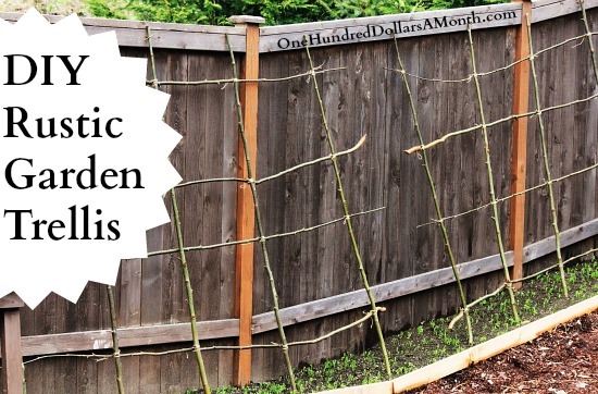 DIY Rustic Pea, Bean or Garden Trellis