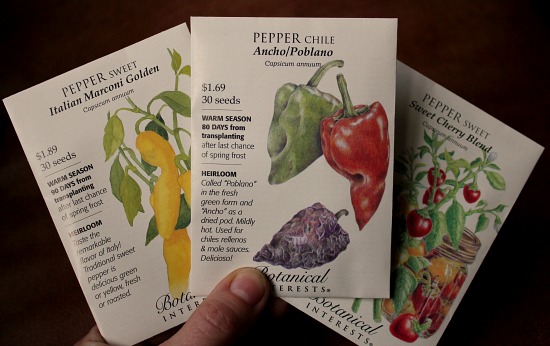 How to Grow Peppers {Start to Finish}