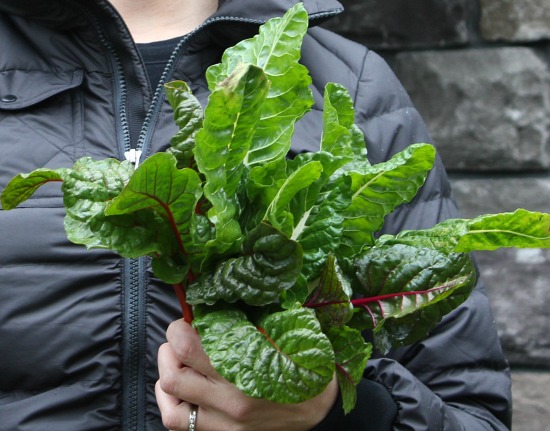 How to Grow Your Own Food – 2013 Garden Tally – 09