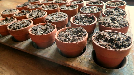 How to Grow Your Own Food – 2013 Garden Tally – 10