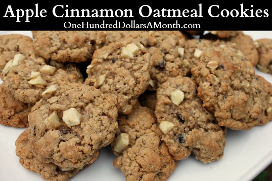 Apple Cinnamon Oatmeal Cookies - One Hundred Dollars a Month