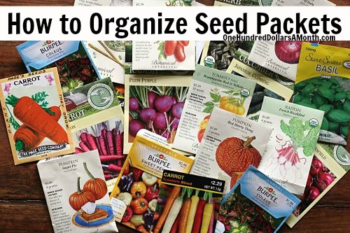 Gardening Tips – How to Organize Seed Packets