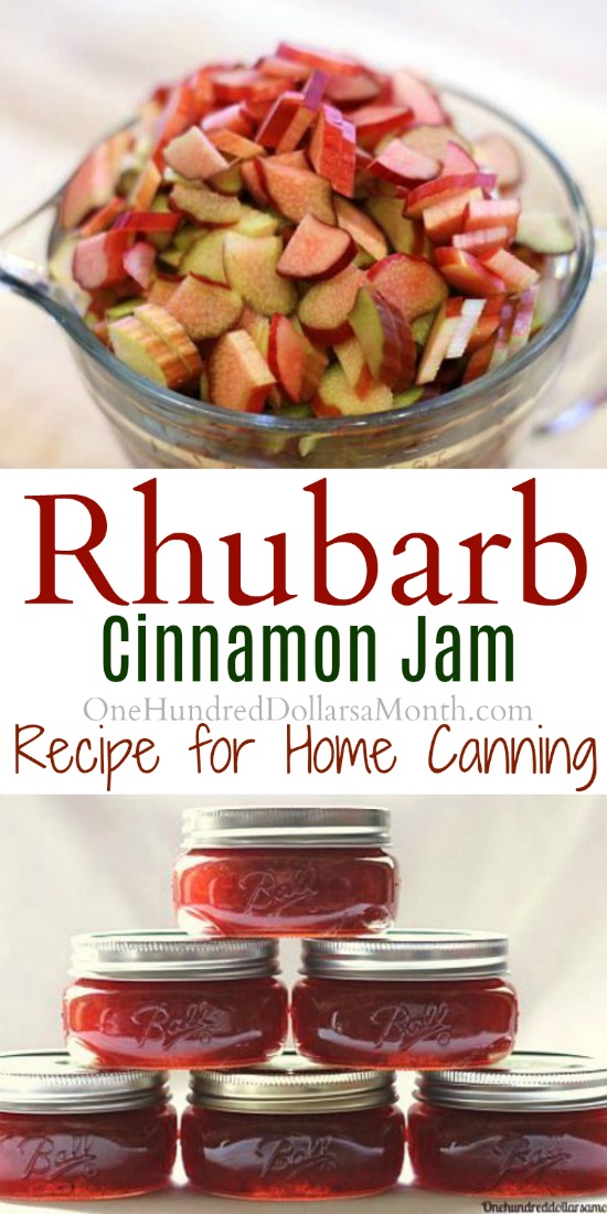 Rhubarb Cinnamon Jam Recipe