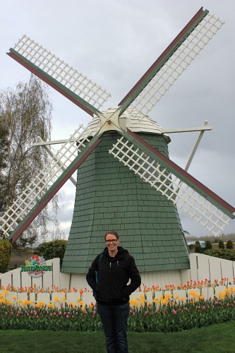 Skagit Valley Tulip Festival – Roozengaarde