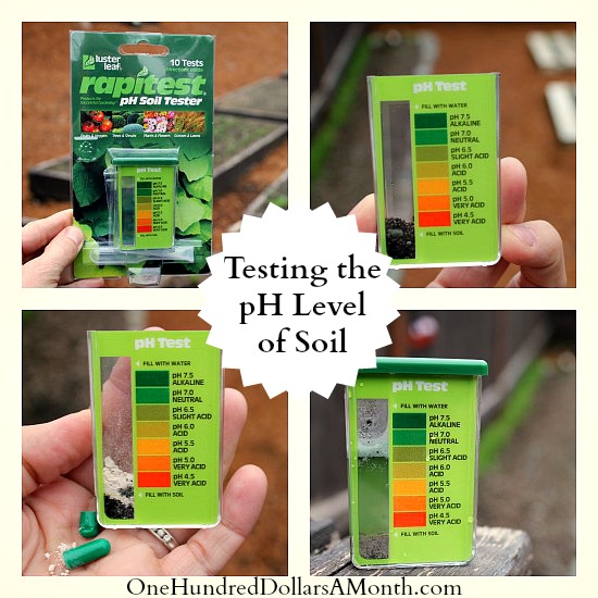 Testing the pH Level of Soil