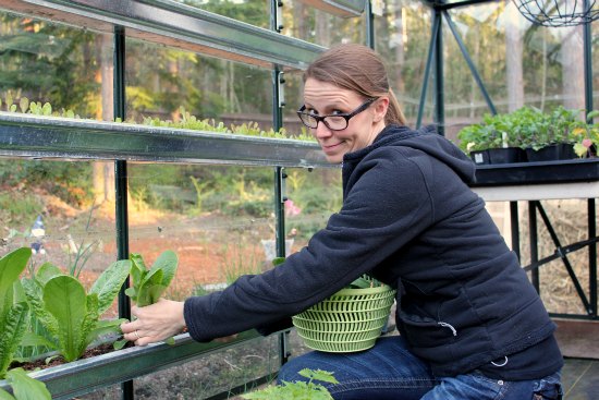 How to Grow Your Own Food – 4/24/2013 Garden Tally -16