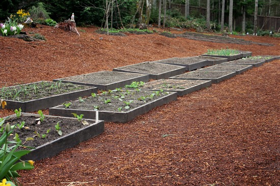 Backyard Gardening – Raised Garden Beds