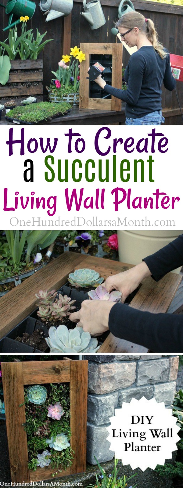 DIY Sedum and Succulent Living Wall Planter