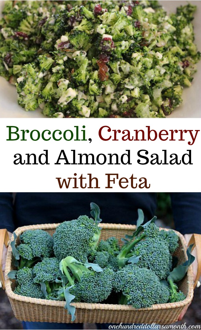 Broccoli Cranberry and Almond Salad with Feta