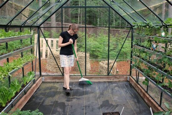 Growing Vegetables in a Greenhouse