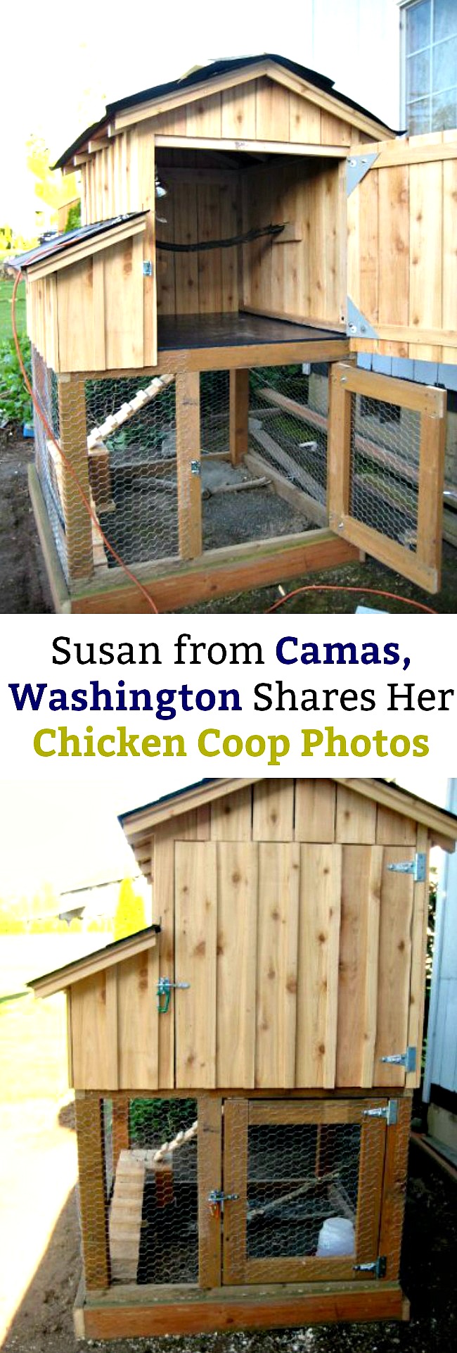 Susan from Camas, Washington Shares Her Chicken Coop Photos