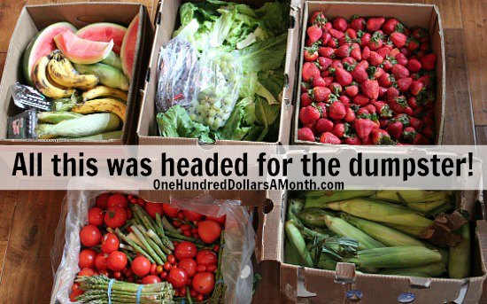 Food Waste In America – Saving Fruits and Vegetables From the Dumpster