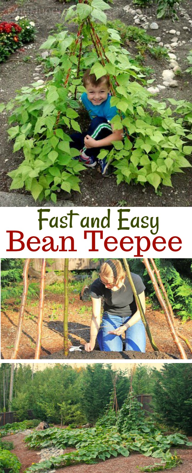 How to Make a Bean Teepee