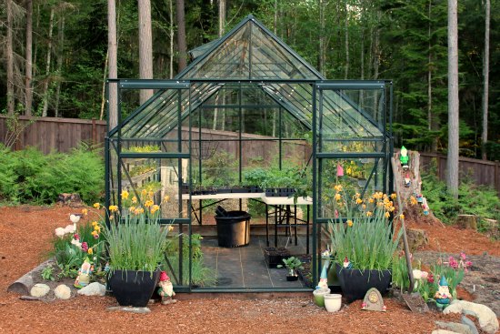 How to Grow a Greenhouse Vegetable Garden