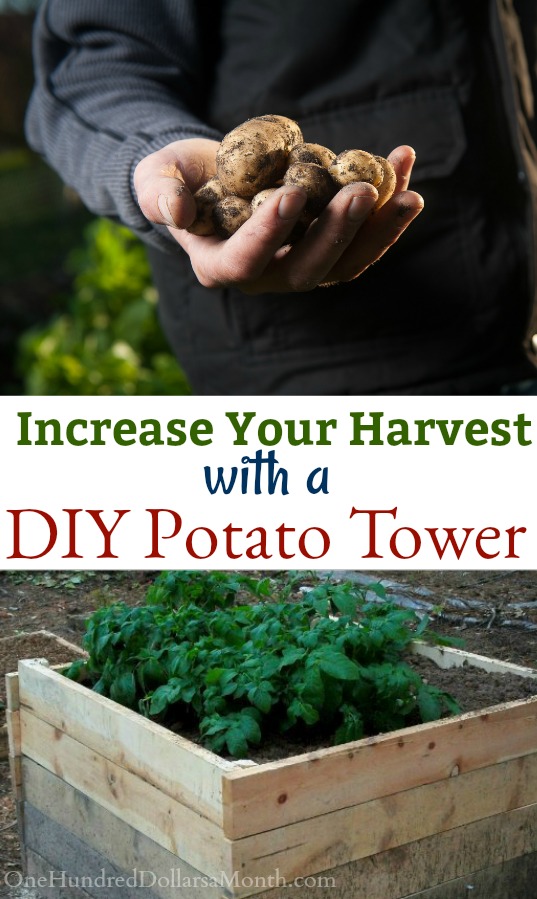 David’s DIY Potato Tower