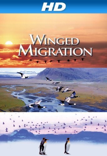 Friday Night at the Movies – Winged Migration
