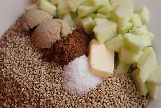 Slow Cooker Steel Cut Oatmeal with Apples and Brown Sugar