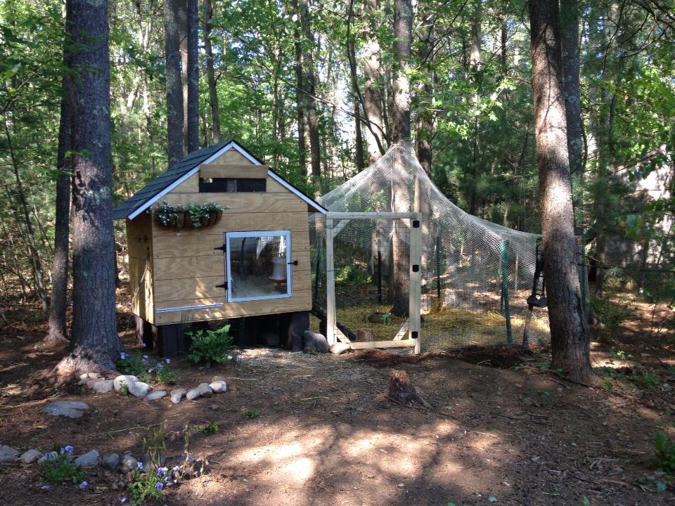 Heather’s Chicken Coop Made from Recycled Wood Pallets